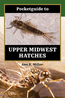 Fly Fishing Entomology | Midwest Hatches