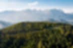 detail-Ausblick-Rauher-Kopf.jpg