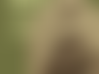 SAYiT LGBTQ+ History Month 2026