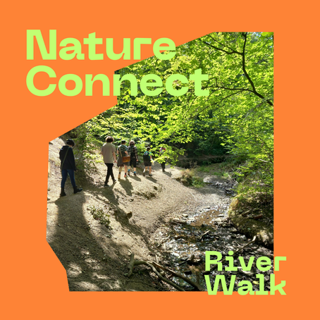 Nature Connect