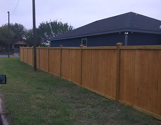 Cedar wood fence