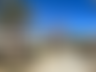 Impact of Placemaking Investments