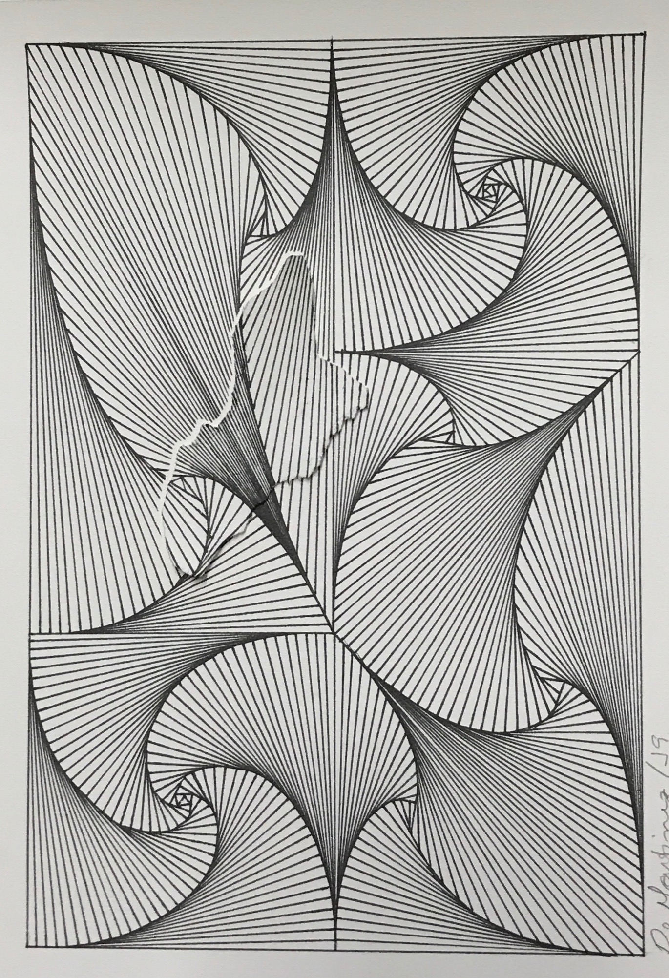 fractais flor