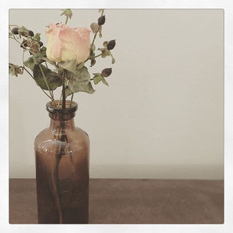 Natural Reset:
Disconnect to Reconnect