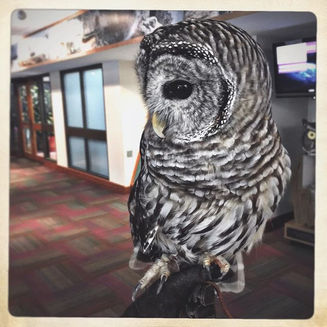 A Grandparent's Guide to Getting Kids Outside