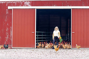 HarvestBell_CCweb-8.jpg