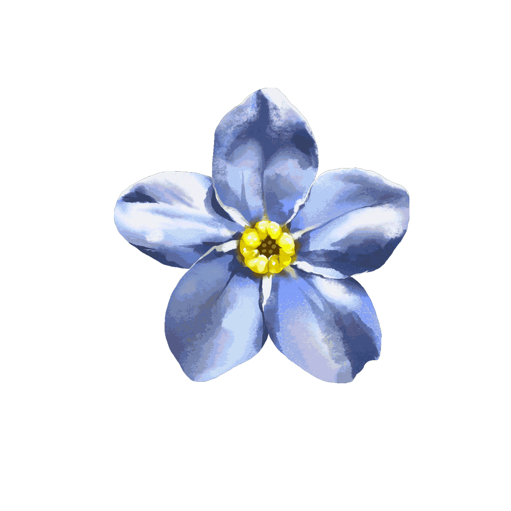 web-ready-flower-gif.gif