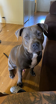 Kash