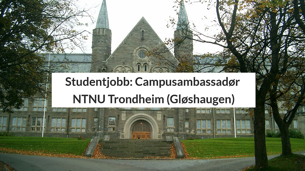 Studentstilling: Campusambassadør NTNU Trondheim Gløshaugen