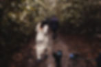 elopement couple hiking