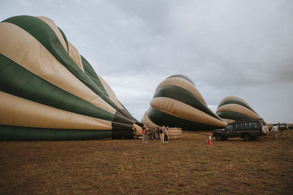 Three deflated hot air balloons on a grassy field with people preparing them. A green vehicle is nearby, under cloudy skies.