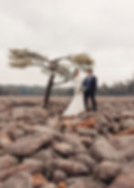 elopement couple by a tree in a field of boulders
