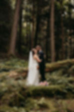 Wedding couple who eloped in Cook Forest State Park kissing surrounded by tall pine trees and mossy logs