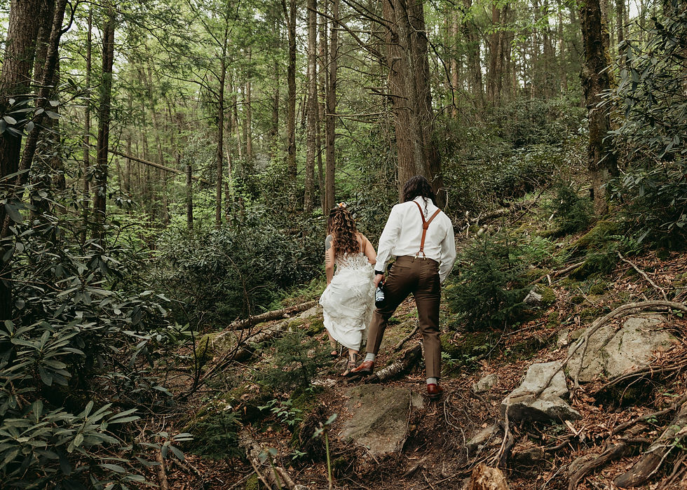 Couple walking up a forest trail, woman in wedding dress, man in suspenders. The lush green setting conveys a serene, romantic mood.
