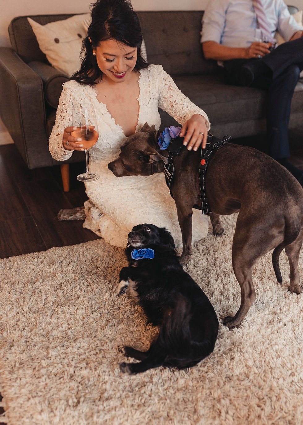 bride with dogs