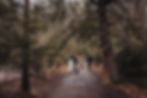 elopement couple hiking through the forest
