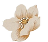 flowers.png