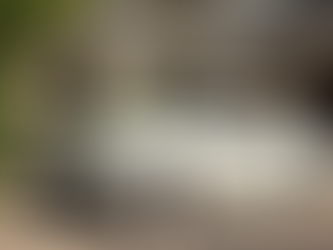 Essential Tips for Selecting the Perfect Wedding Car and Chauffeur