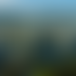 Creation Care for Non-Gardeners: First, You Have to Care