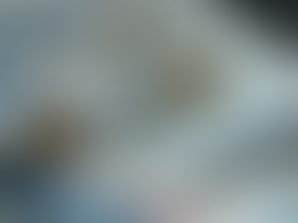 美債拍賣遇冷與全球資本避險潮:債務上限博弈下的國際金融重構