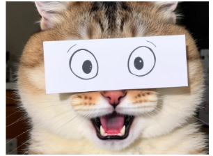 飛天茅臺跌破2000元