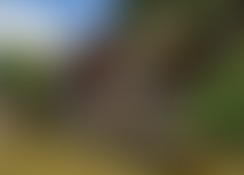 嶺南水鄉基因與未來科技交融的沉浸式度假目的地