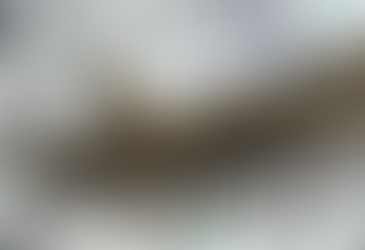 美聯儲降息預期飆升：美國就業數據疲軟引發全球市場震盪