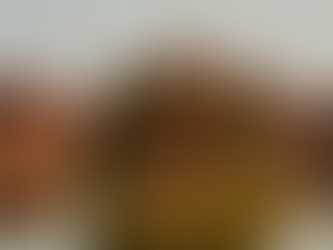 香港西貢郊野公園×廣州南沙濕地「雙城生態之旅」