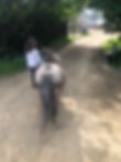 IMG_5298.jpeg