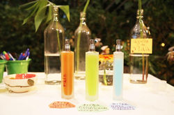 WhatsApp Image 2020-11-03 at 17.59