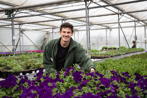 Stichting de Nollestee