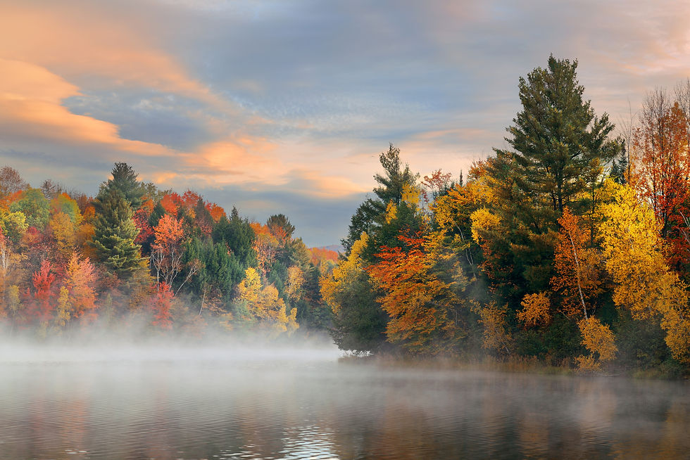 Sunrise overlooking the lake with low fog on the surface. Autumn leaves have begun to change in Vermont