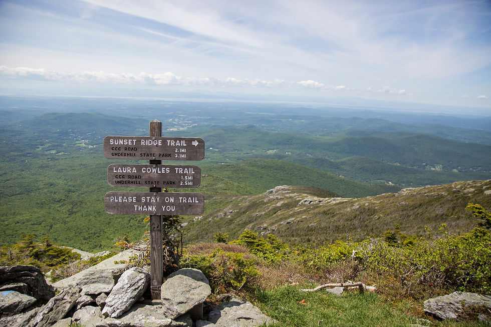 View from the peak of Mount Mansfield overlooking the Green Mountains in Vermont
