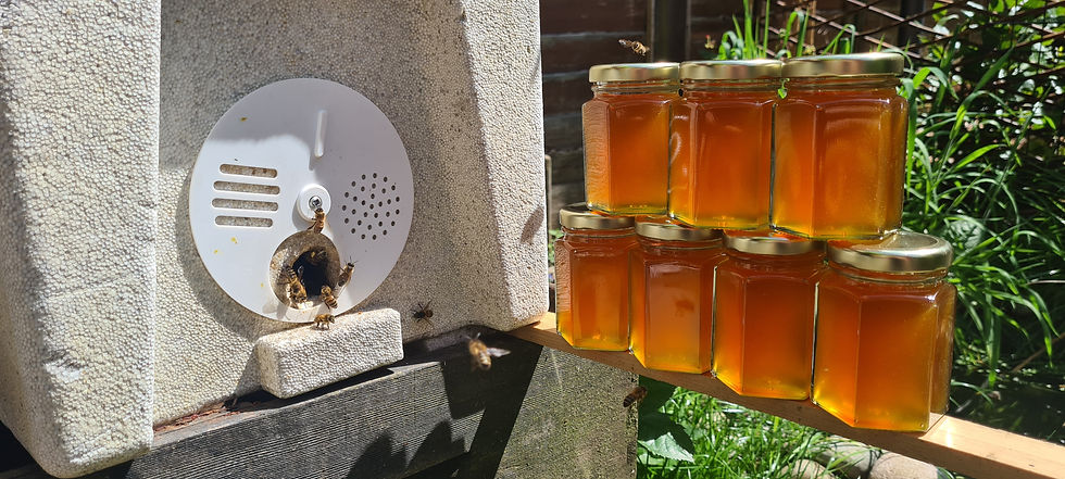 Thumbnail: Wild Pure Honey (Wiltshire)- 120gr or 240gr