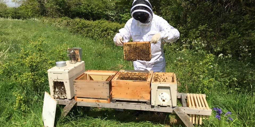A Day As A Beekeeper 1