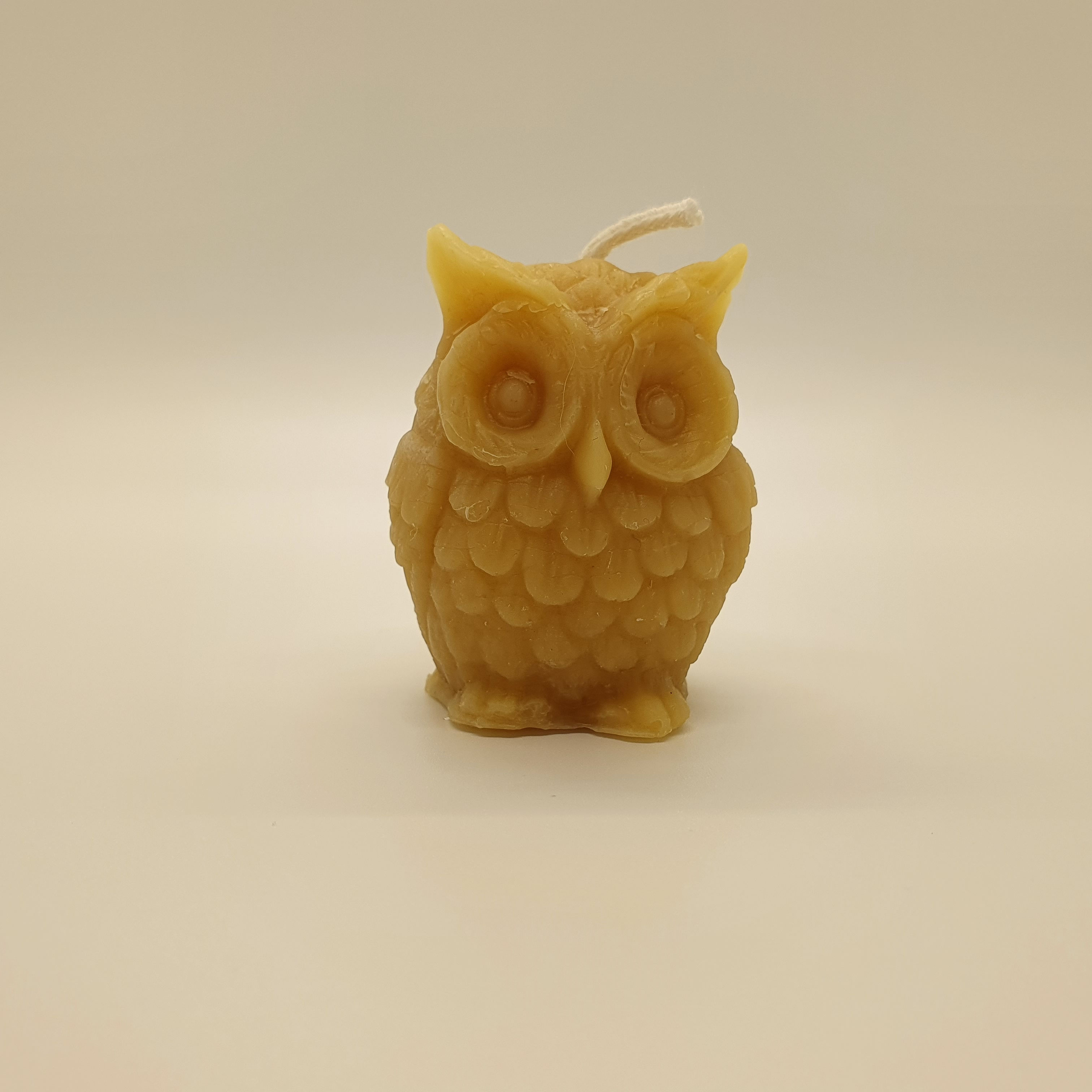 Owl-y bee Candle