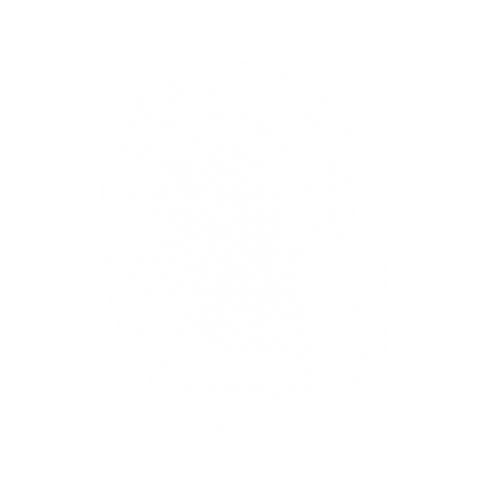 DYNAMIQUE AFRO  VISION LOGO.pdf (14).png