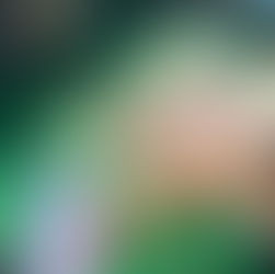 Reflecting on a Season of Innovation:                                              Our Spring Term Highlights: