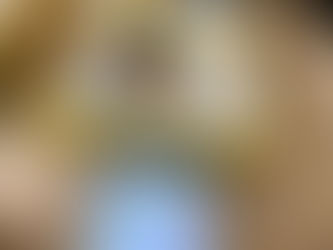 Autumn Term 1 Computing Highlights 