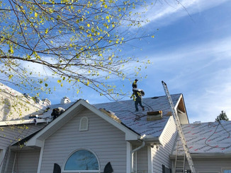 Roof and roofers.jpeg