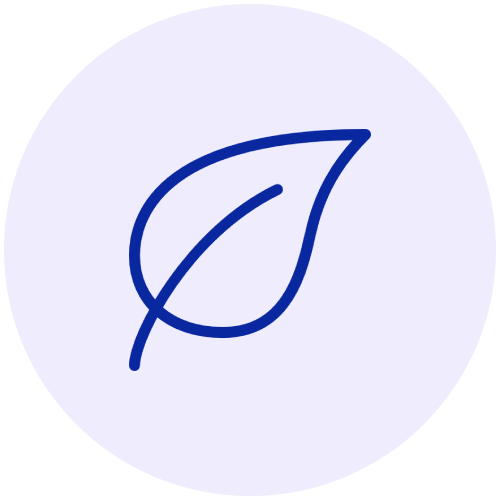 New Project (22).png