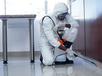 IPM-pest-control.webp
