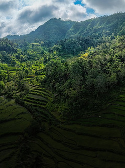 Bali_pexels-tomfisk-35343781.jpg