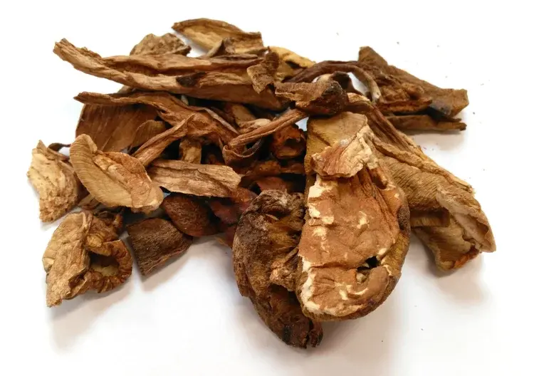 Porcini Mushroom Slices Dried