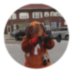 Jester the Rhodesian Ridgeback