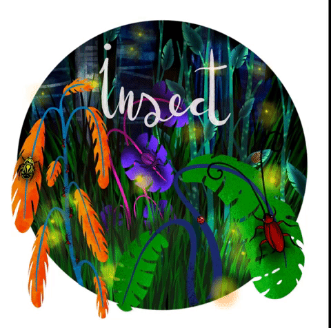 Ana Pi - Gif insectos