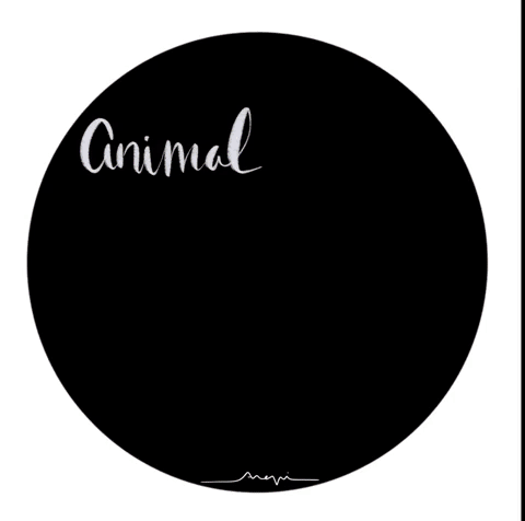 Ana Pi - Gif  Animal