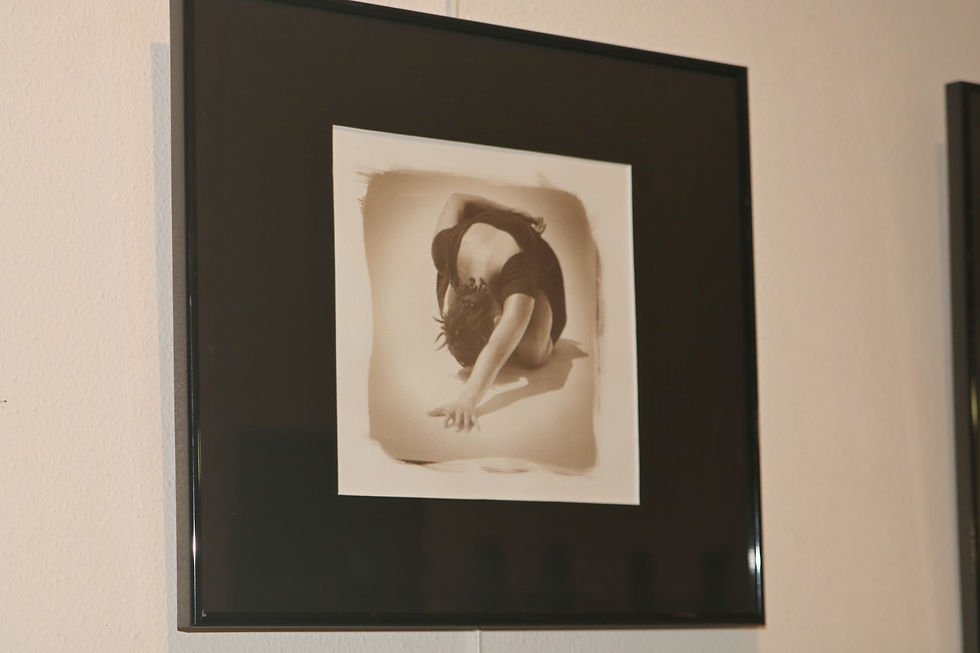 Expo Van Dyke
