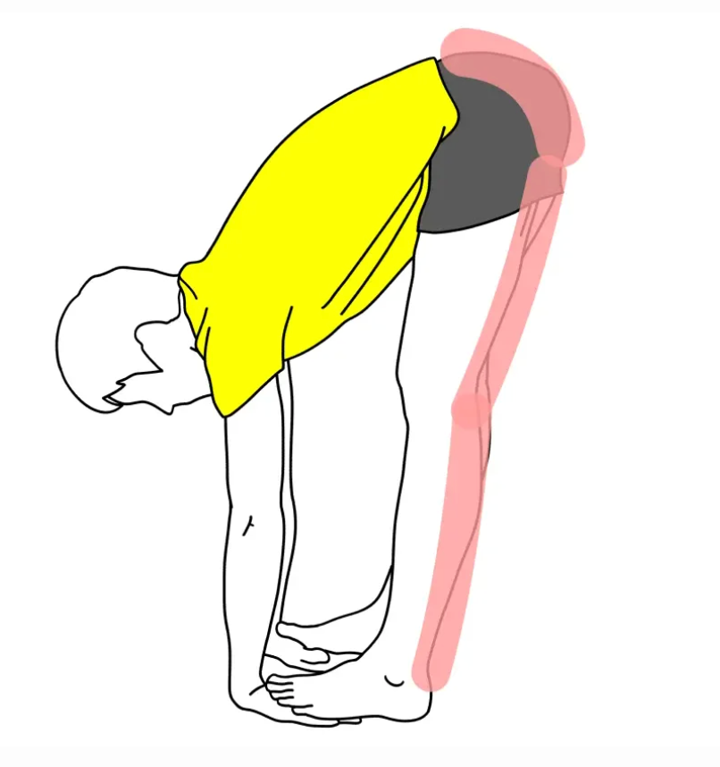 前屈ストレッチ