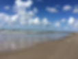 IMG_5941.jpeg